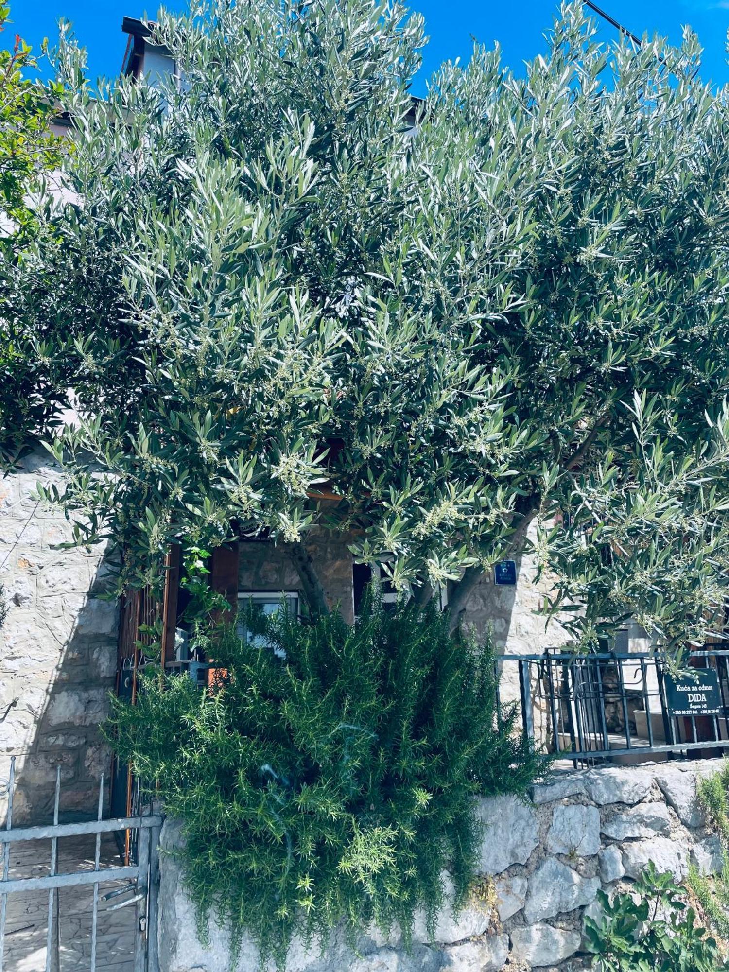 Kuca Za Odmor “Dida” Stinica Exterior foto