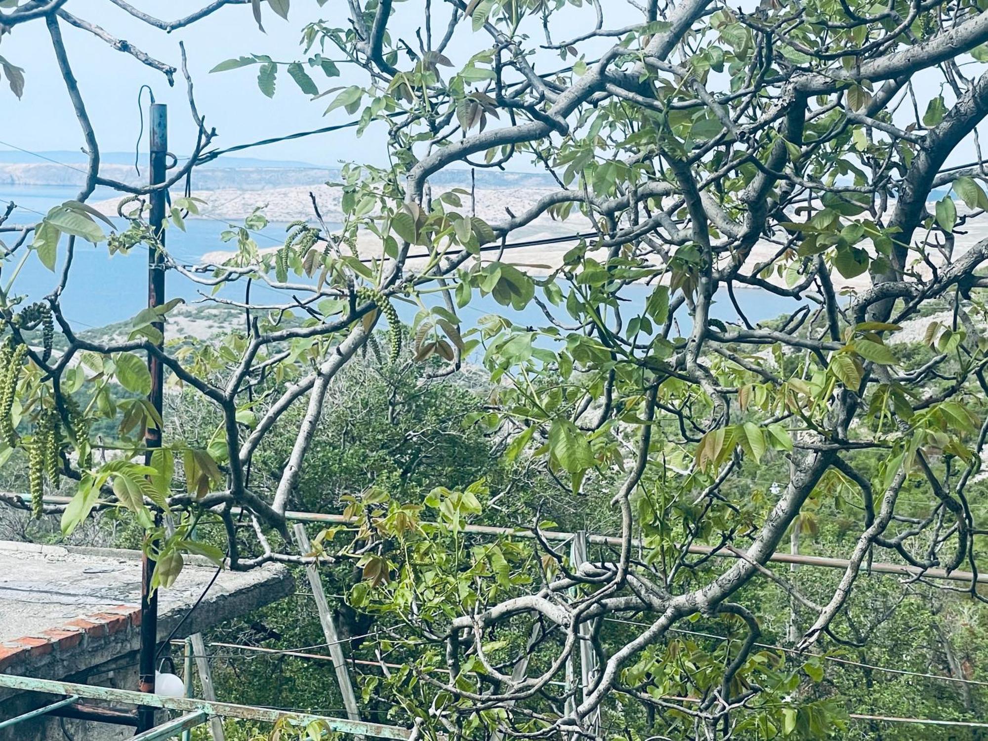 Kuca Za Odmor “Dida” Stinica Exterior foto